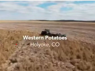 From Field to Chip Bag—It’s Real Potatoes