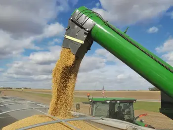 China Buys at Least 10 Cargoes of U.S. Soybeans for April-May Shipment, Traders Say