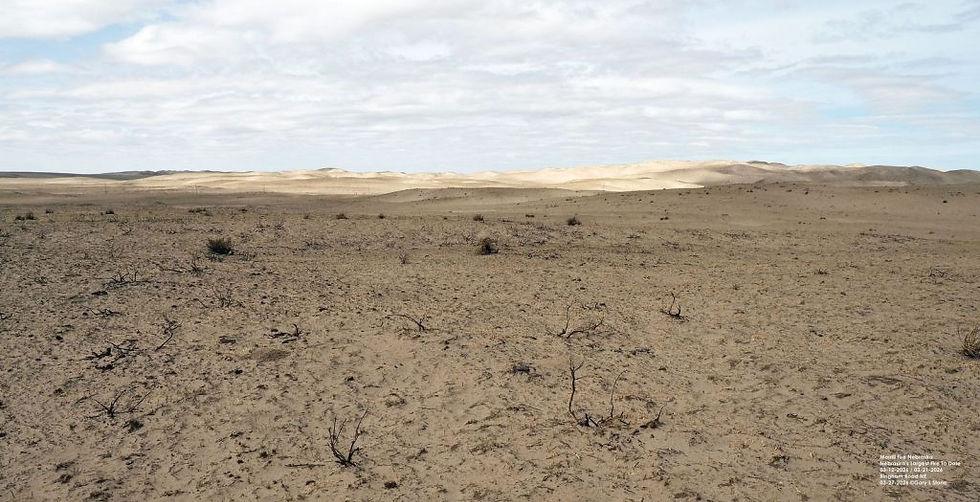 Parts of the Sandhills burned in the Morrill Fire, which started in Morrill County on March 12 and wasn’t totally extinguished till March 21. It burned over 642,000 acres. Plant life will grow back after fire, with enough precipitation. Annuals like sunflowers, marestail and lambs quarterswill take advantage of bare spots of ground and will thrive for a few years before the grasses overtake them. Photo courtesy Gary Stone Nebraska4-RFP-040626