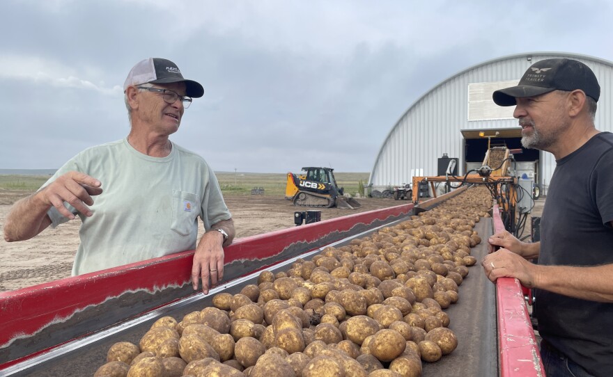 Rod Lenz drives a truck with a bulk bed at Lenz Farms.  His truck can hold roughly 40,000 potatoes.