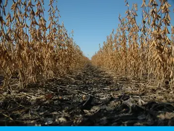 3 Big Things Today, Oct. 15, 2025