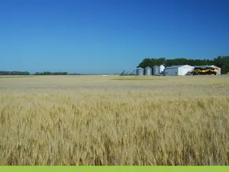 3 Big Things Today, Nov. 13, 2025