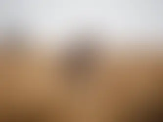 Farm Bill 2026 Draft Draws Praise and Pushback From Ag Groups