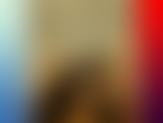 Kickoff Concert to Launch 2026 Meat In Weekend