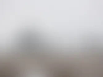 USDA Lowers U.S. Corn Ending Stocks More Than Expected