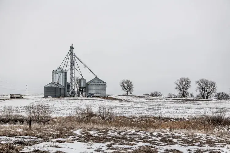 USDA Lowers U.S. Corn Ending Stocks More Than Expected