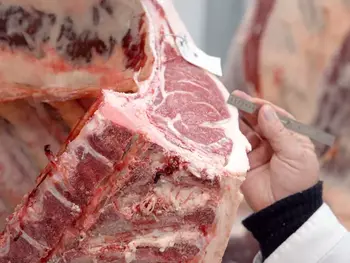 Beef From Argentina? ‘A Betrayal of the American Rancher,’ Farmers Tell Trump