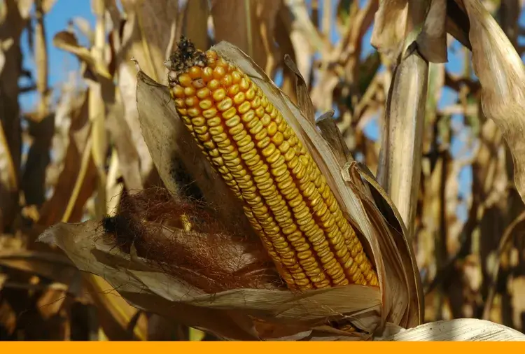 3 Big Things Today, Dec. 31, 2025