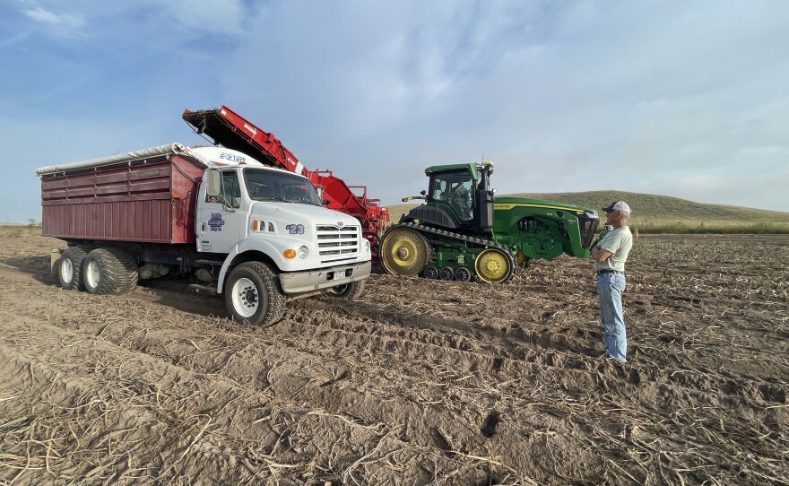 Rod Lenz drives a truck with a bulk bed at Lenz Farms.  His truck can hold roughly 40,000 potatoes.