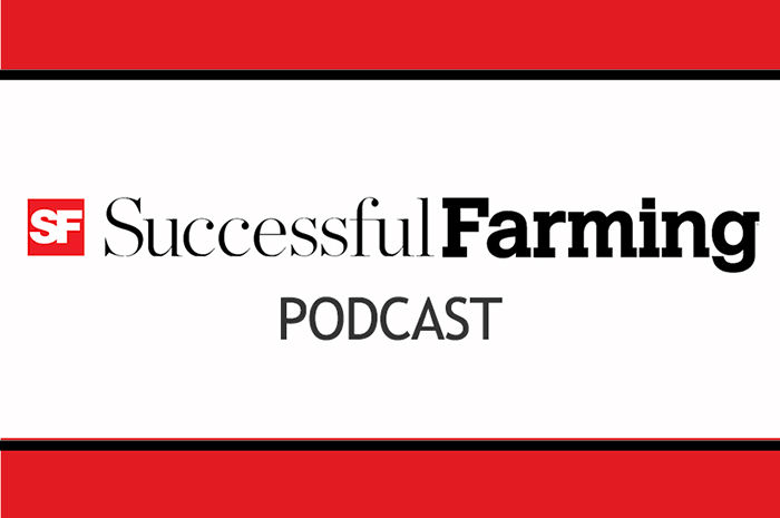 Navigating Grain Market Volatility