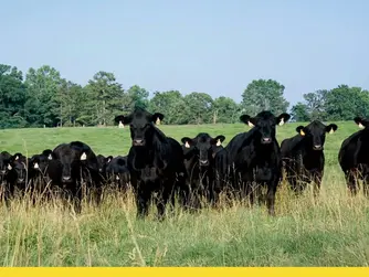 3 Big Things Today, Nov. 24, 2025