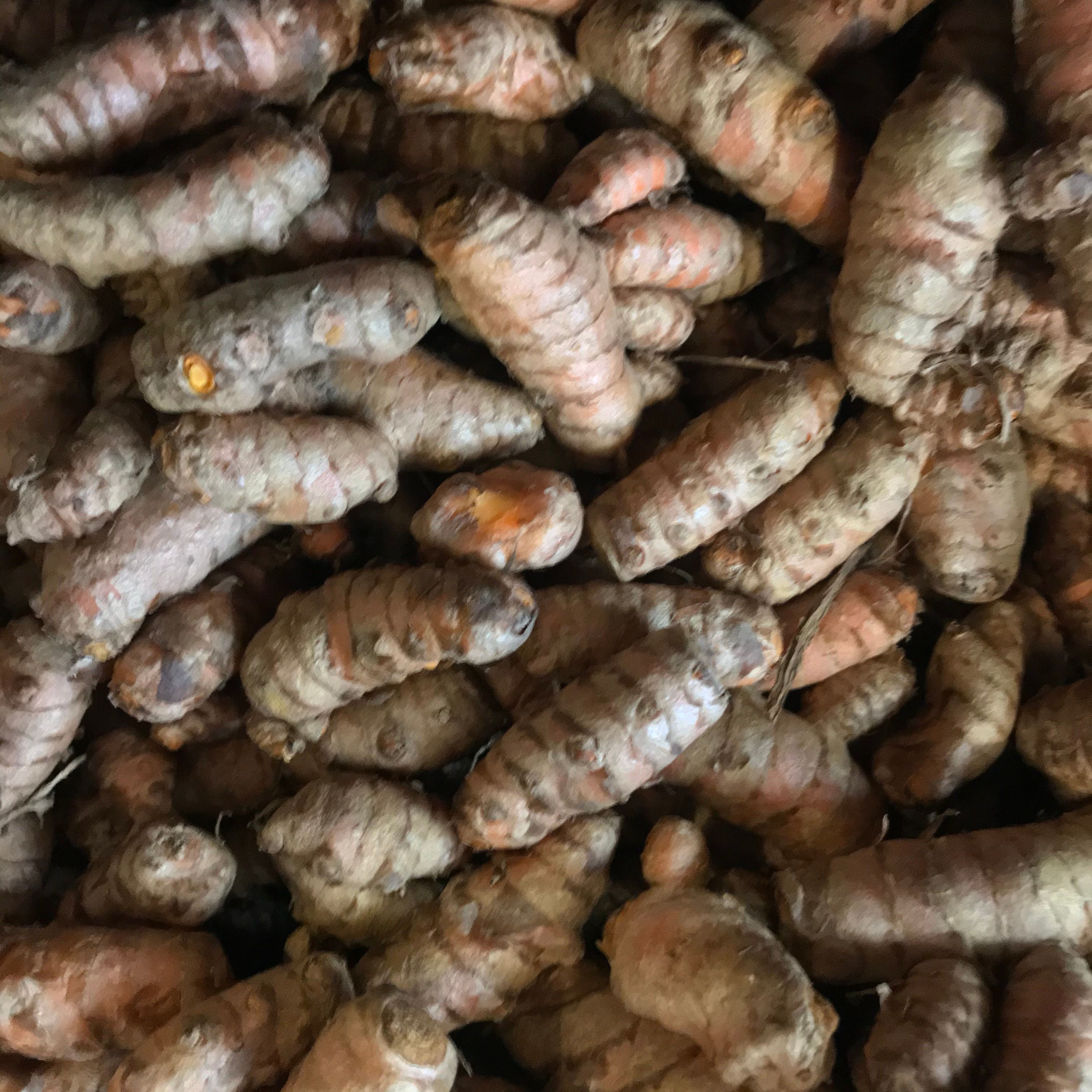 TURMERIC (100g) -PERU