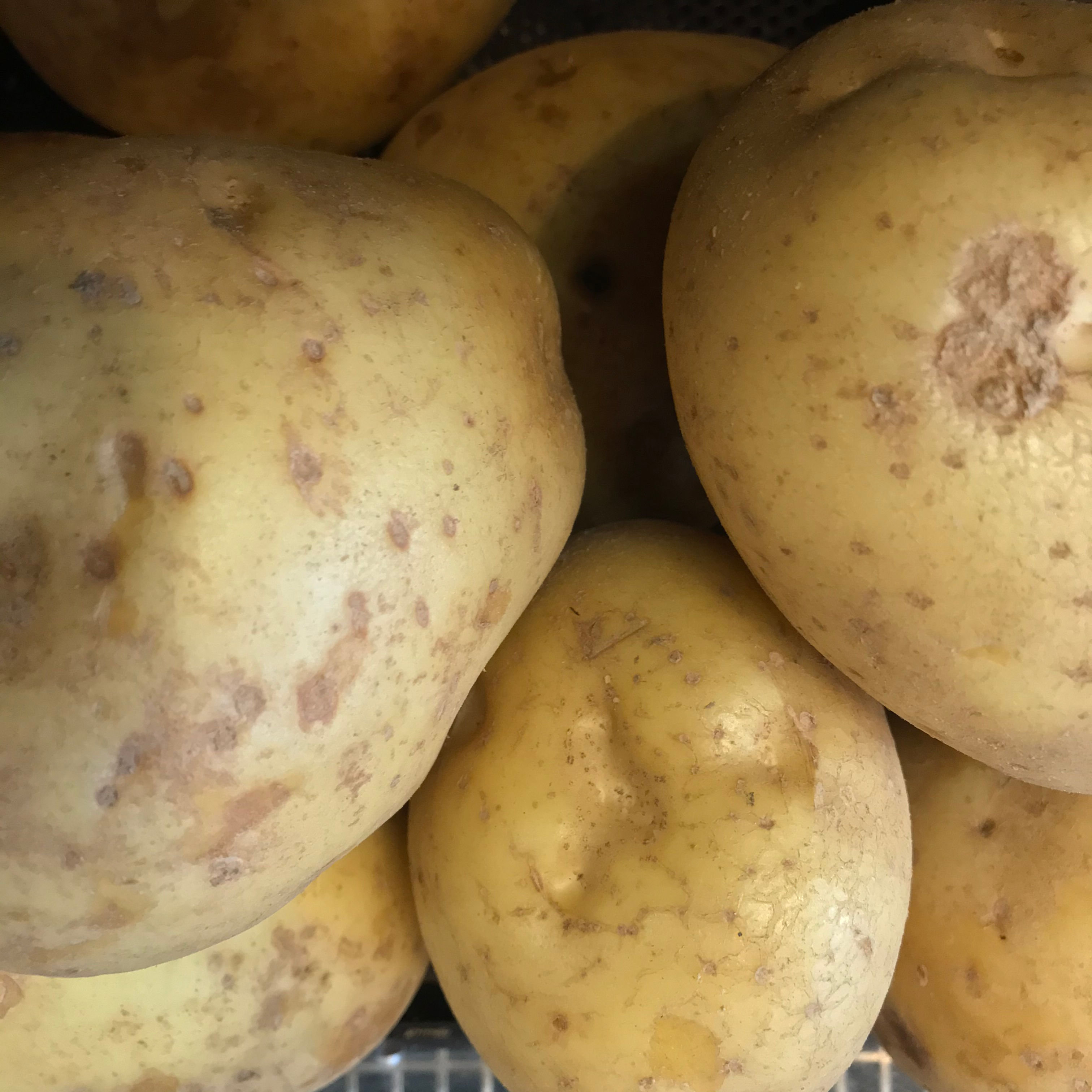 ESTIMA BAKING POTATOES (KG) - UK