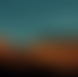 Comment la certification B Corp™ aide les entreprises à communiquer avec leurs clients ?