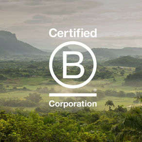 Certification B Corp: les meilleures entreprises pour la planète