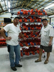 'It was kind of forgotten': Statesboro farmer leads a citrus resurgence in the Peach State