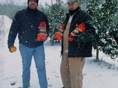 Georgia citrus growers chilled but not frozen out