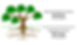 Root Causes