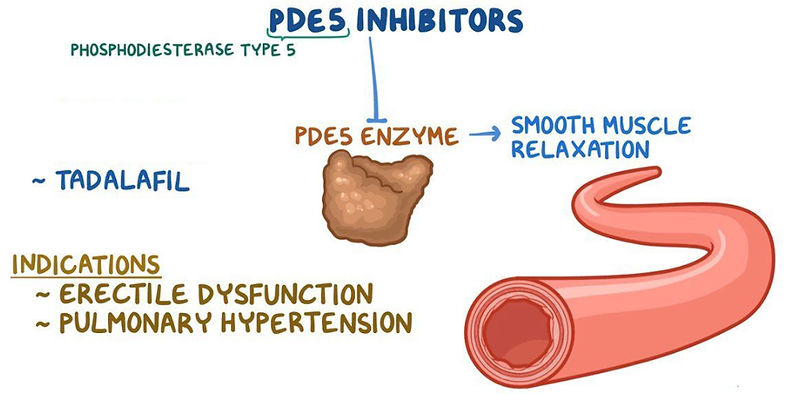 PDE5 Inhibitors_edited.jpg
