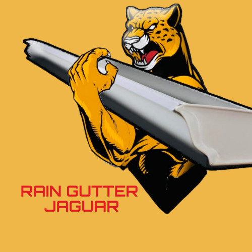 Rain Gutters Jaguar