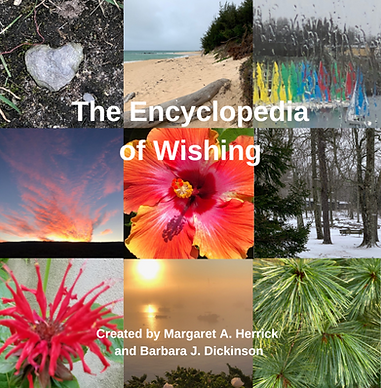 Encyclopedia of Wishing - Insta Post.png