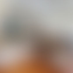 The Art of Real Estate Photography: Why a Professional Photographer Beats Cell Phone Pics