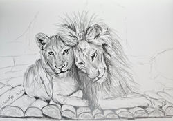 Löwenpaar