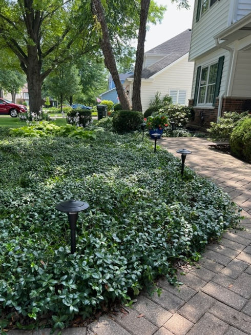 landscape-lighting-installation-outdoor-lighting-licensed-electrician-services-near-me-nap