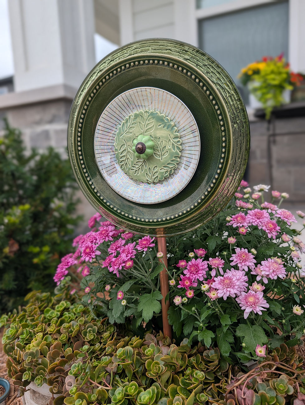 Thumbnail: Evergreen Glow