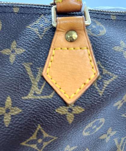 Louis Vuitton Louis Vuitton Speedy 30 immagine 4