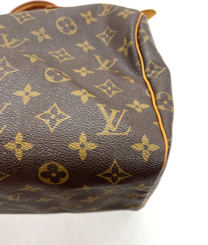Louis Vuitton Louis Vuitton Speedy 30 immagine 6