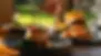Leckford-food-2.webp