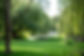 TSP830215.jpg