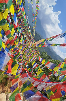 Foto von Manu (29).jpg