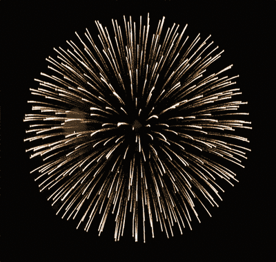 Fireworks Gif Grey.gif