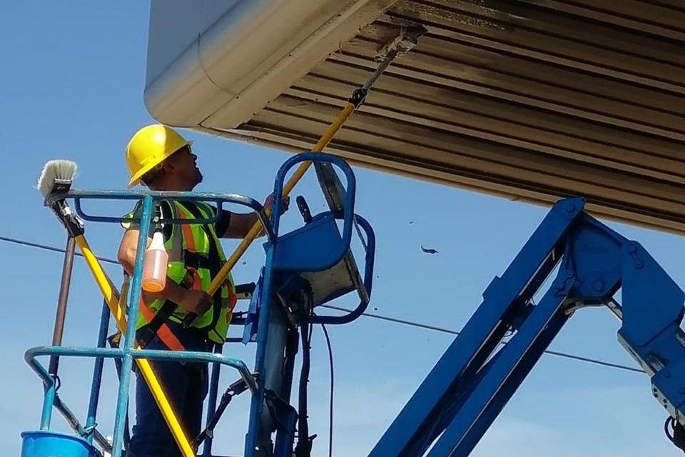 LIMPIEZA DE TECHUMBRES