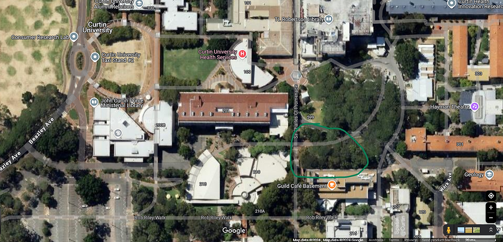 The site of the Hammock Hotel in Curtin University Bentley campus, Western Australia