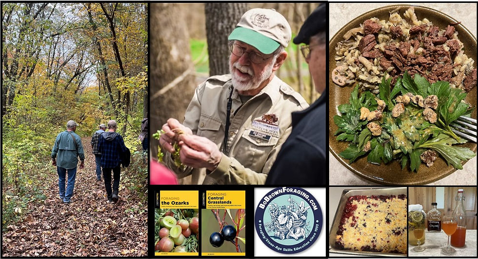 Foraging and Feasting with Bo Brown at Iowisota