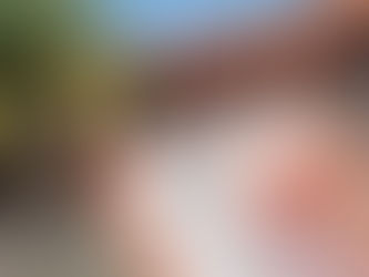 Why Use a Listing Agent?