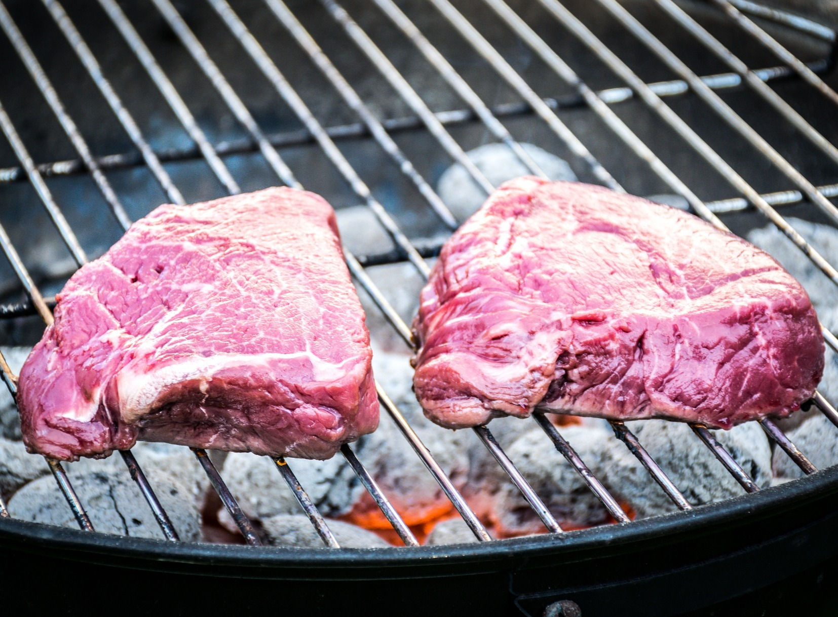 5kg BIO GRILL SPECIAL vom Limousin Rind