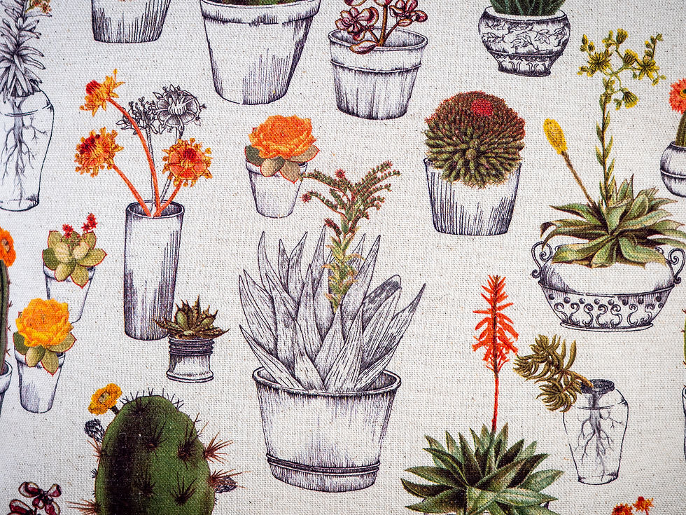 Miniature : Coussin imprimé "cactus"