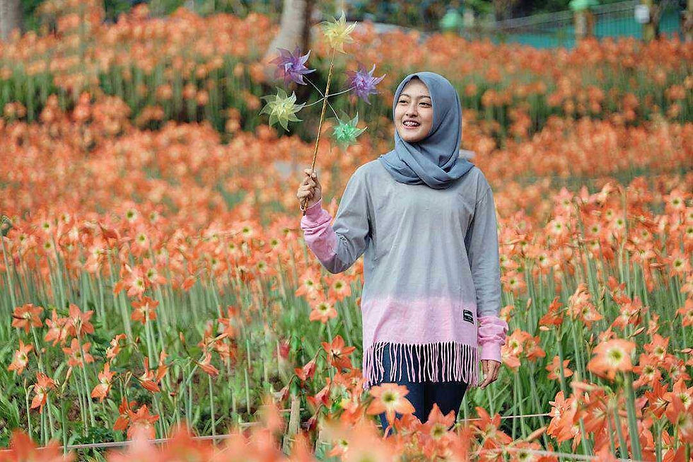 Taman Bunga Amarilis Jogja, sumber : Phinemo.jpg