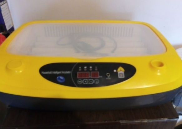 WhatsApp Image 2022-09-27 at 12.49.48.jpeg