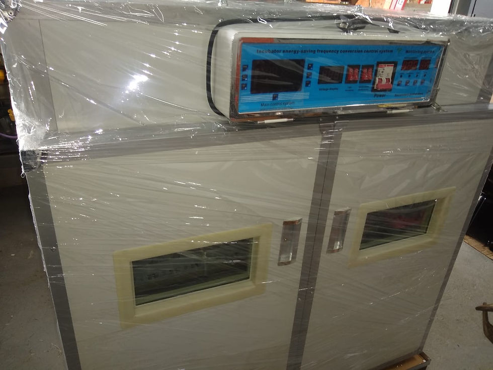 Miniatura: Incubadora Industrial 528 huevos