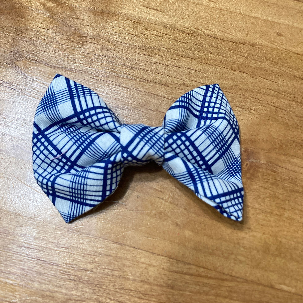 Blue Plaid Bow Tie Front View
