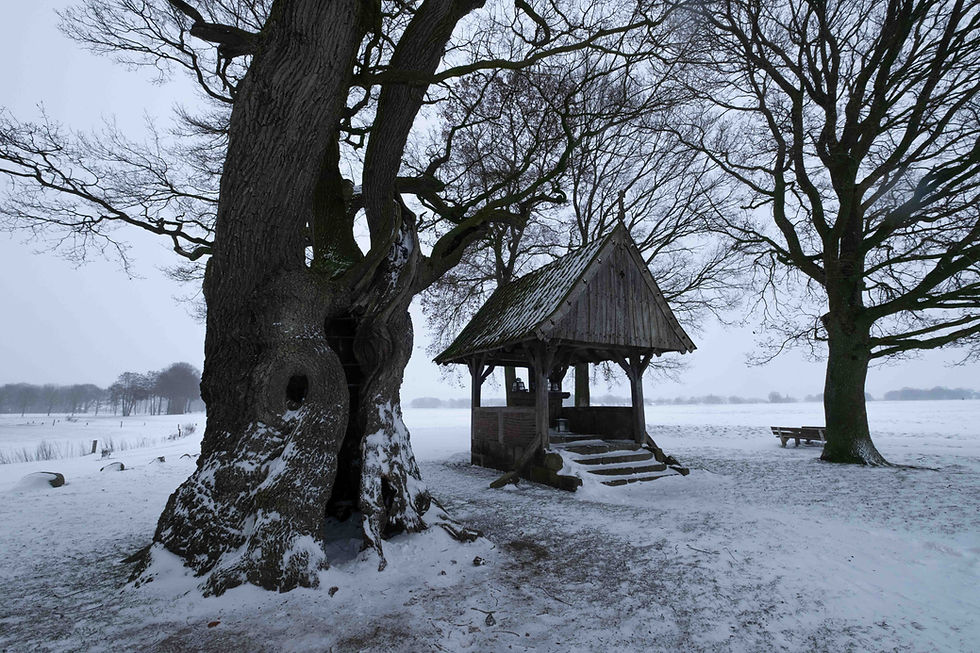 De Kroezeboom in Twente in de winter