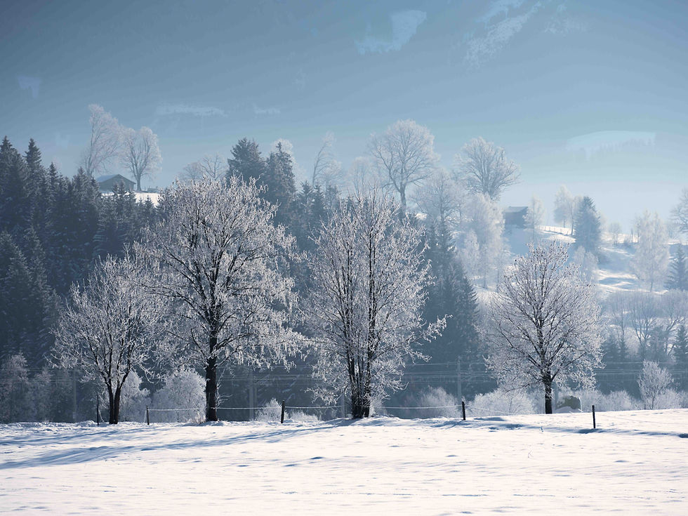 Natuurlandschap bij Saalfelden in Oostenrijk in de winter