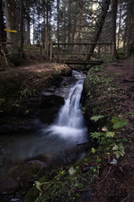 Wasserweg Sattelbergalm