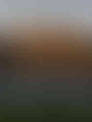 Burg Mildenstein in Saksen