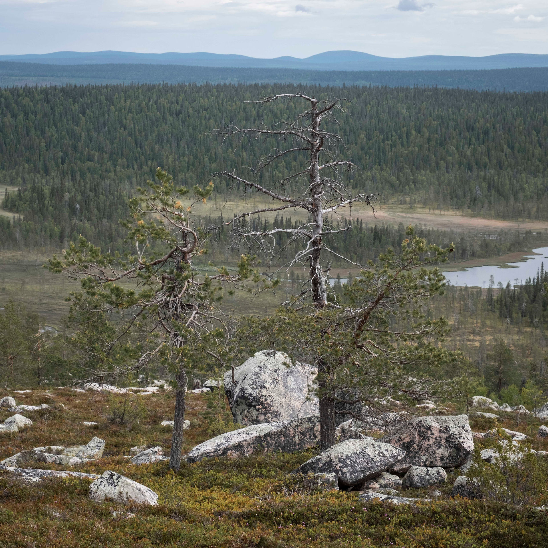 Sallatunturi